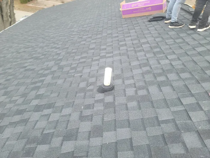 Raebelle Exteriors Picture 8