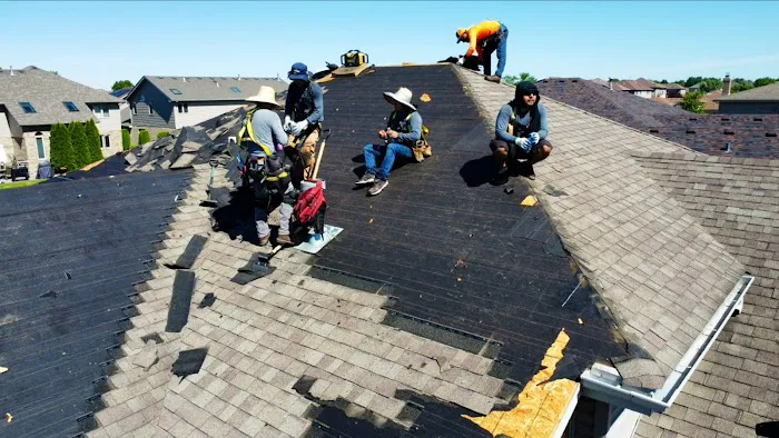 Gali’s Restoration Picture 6