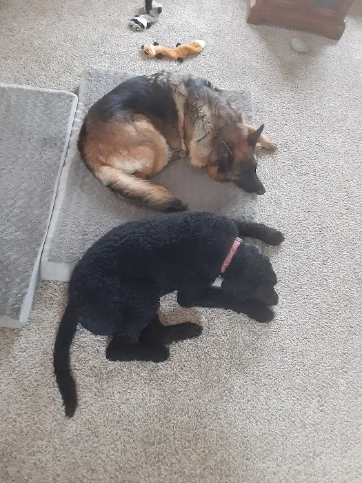 Two Brothers Roofing Inc Picture 9