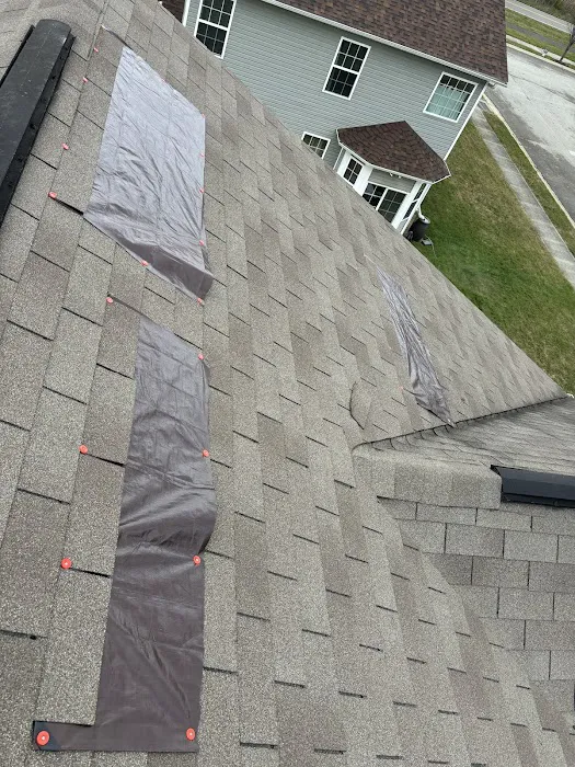Proshield Roofing Picture 1