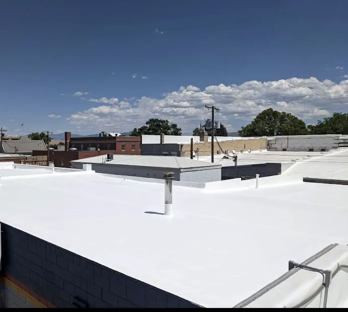 TOP GUN ROOF COATINGS Picture 2