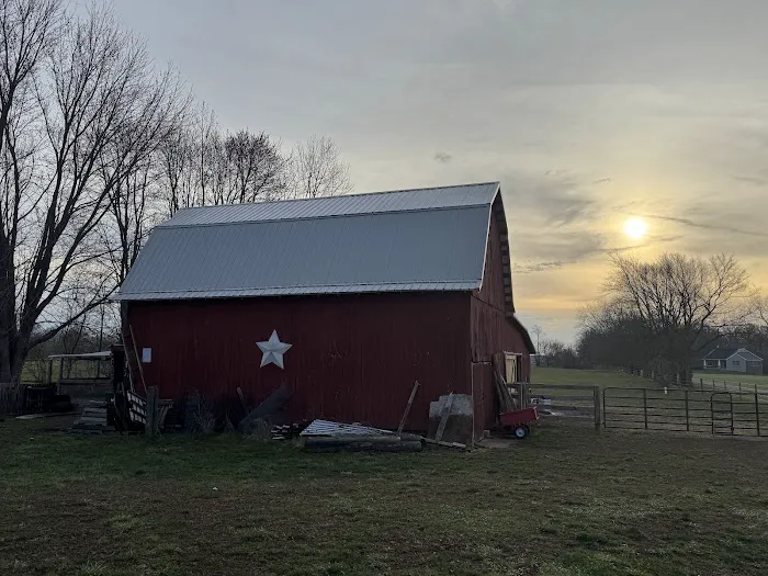 IDT Roofing Systems Picture 4