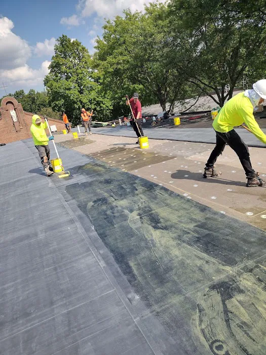 Ucles roofing Picture 8