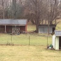 Ellerman Douglas ico