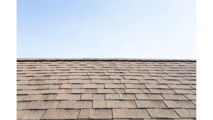 TechPro Roofing & Renovations Picture 2