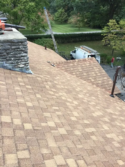 Double T Roofing Picture 4