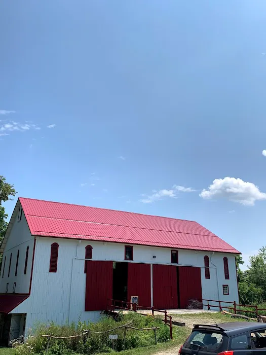 Double T Roofing Picture 7