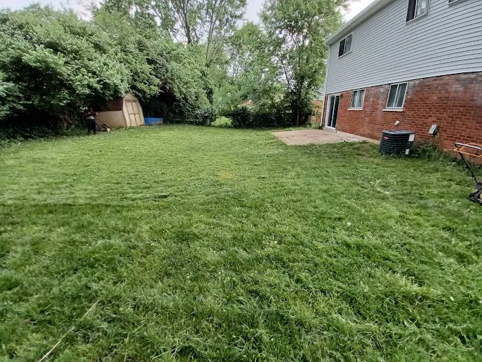 Lawson professional roofing Picture 10