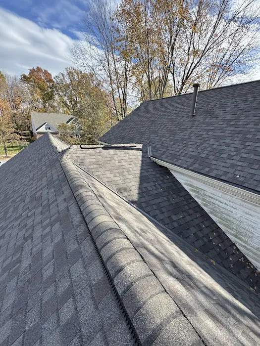 Artcris Roofing Picture 2