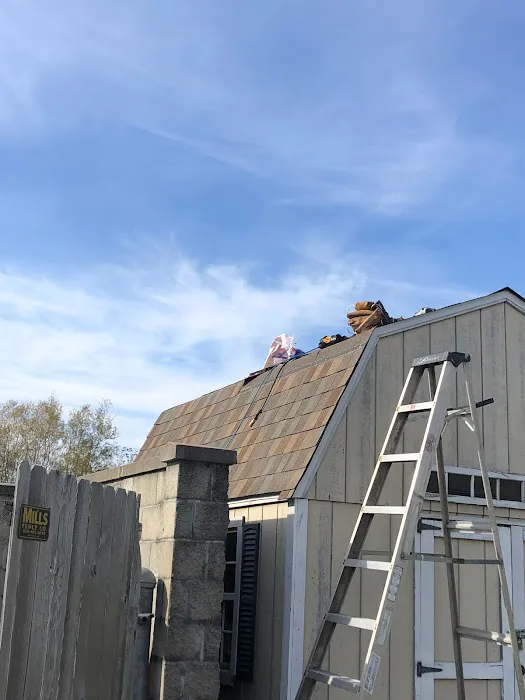 Artcris Roofing Picture 4