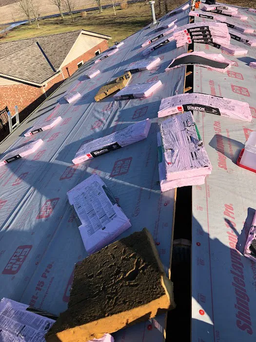 Artcris Roofing Picture 8