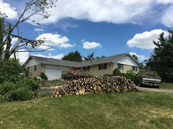 American Restoration Consultants Picture 2