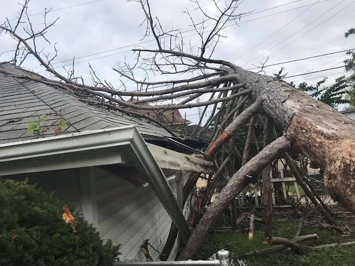 American Restoration Consultants Picture 5