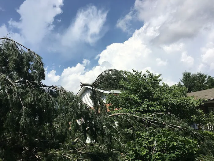 American Restoration Consultants Picture 8