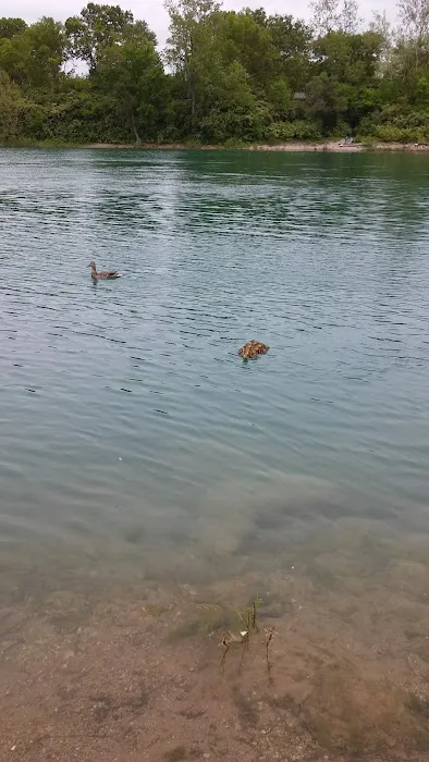 America's Roofing Company Picture 3