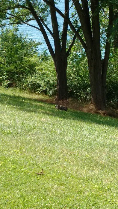 America's Roofing Company Picture 1