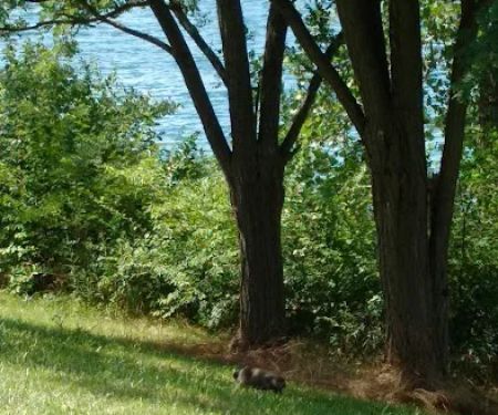 America's Roofing Company