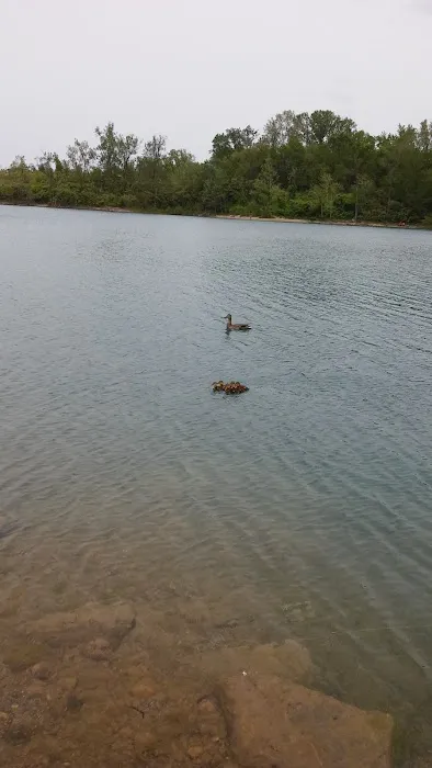 America's Roofing Company Picture 4