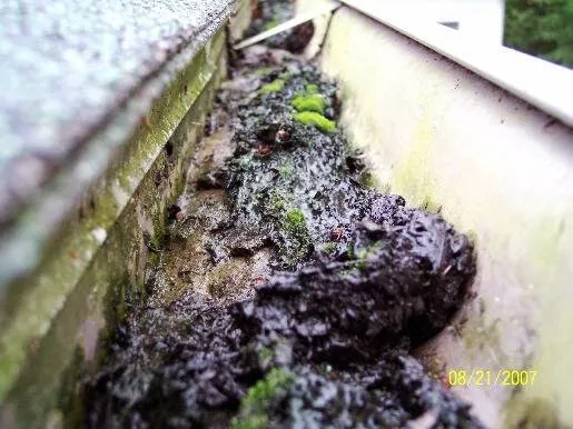 Sterling Maintenance Picture 4