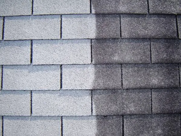 Sterling Maintenance Picture 3