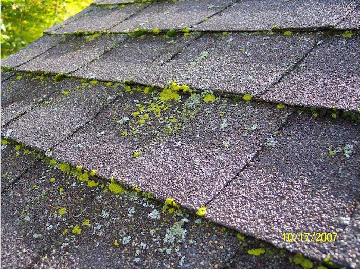 Sterling Maintenance Picture 6