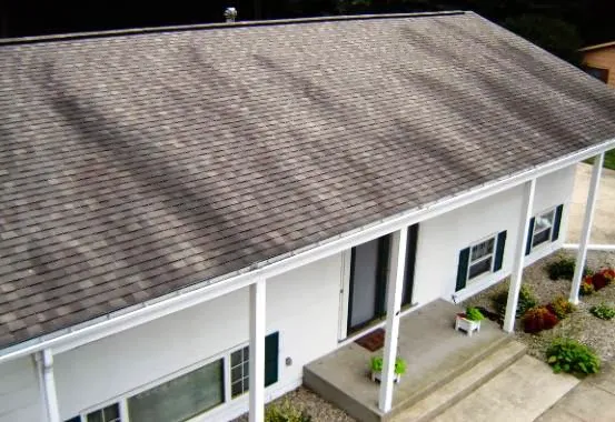 Sterling Maintenance Picture 9