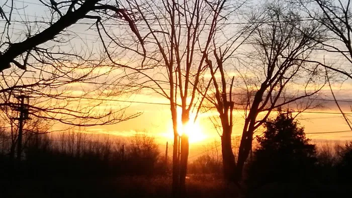 AllSafe Roofing Picture 1