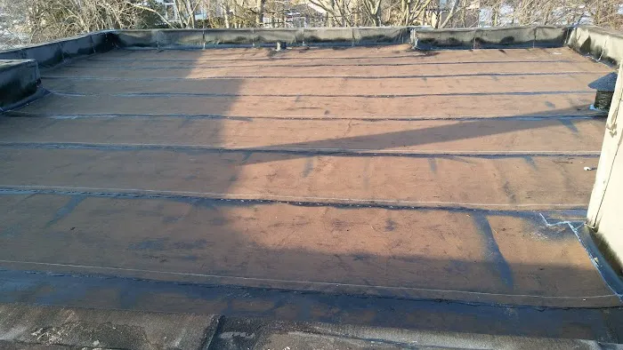 AllSafe Roofing Picture 3