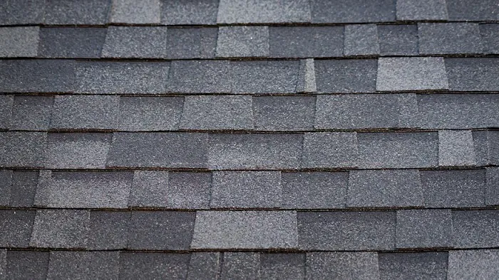 Basic Roofing Picture 3