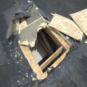 Starmark LLC Picture 10