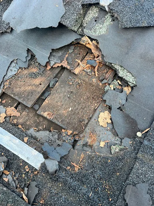 American Roofers Picture 8