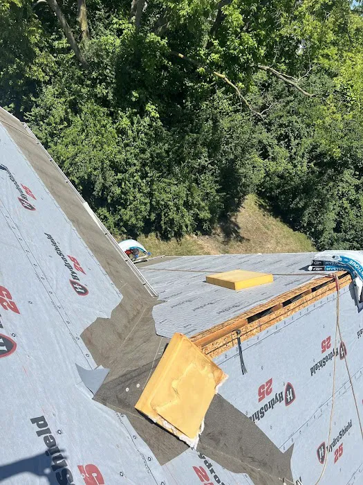 dmg roofing llc Picture 5