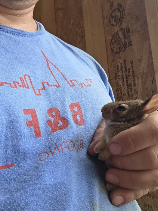 B & F Roofing Picture 6