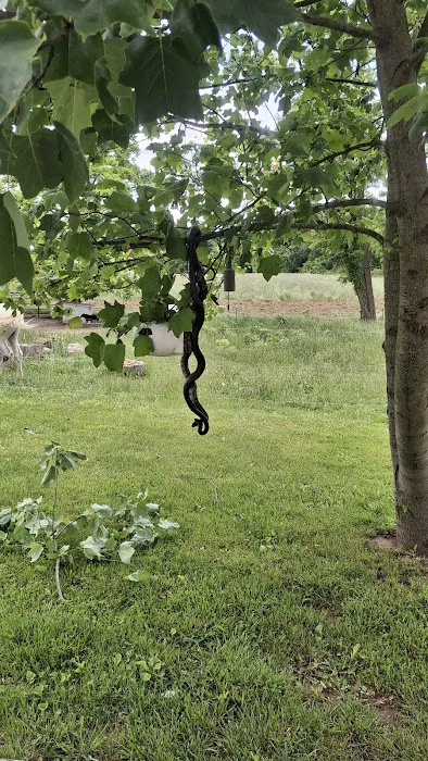 Johnson Bros Construction Picture 3