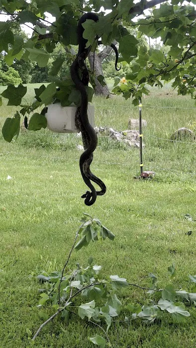 Johnson Bros Construction Picture 2