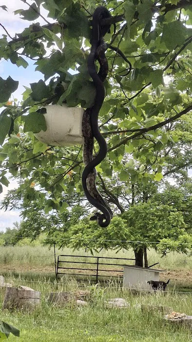 Johnson Bros Construction Picture 4