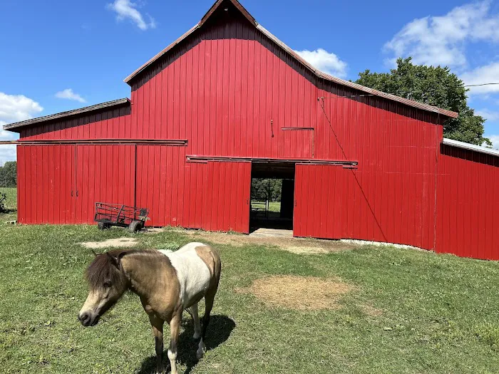 Moore's Roofing Inc Picture 3