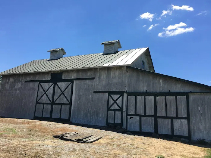 D&G Roofing and Restoration Picture 10