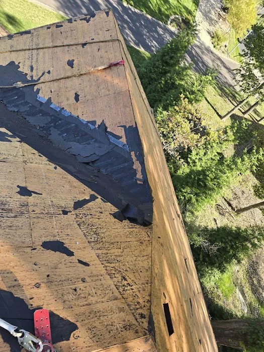 Maldonado's Roofing Picture 1