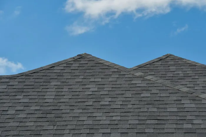 Sherriff Goslin Roofing Dayton Picture 4