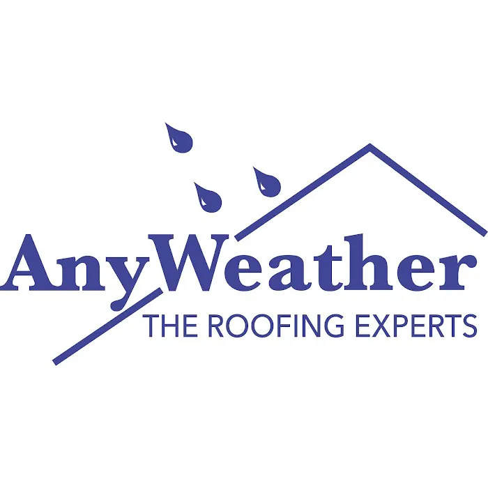 AnyWeather Picture 10