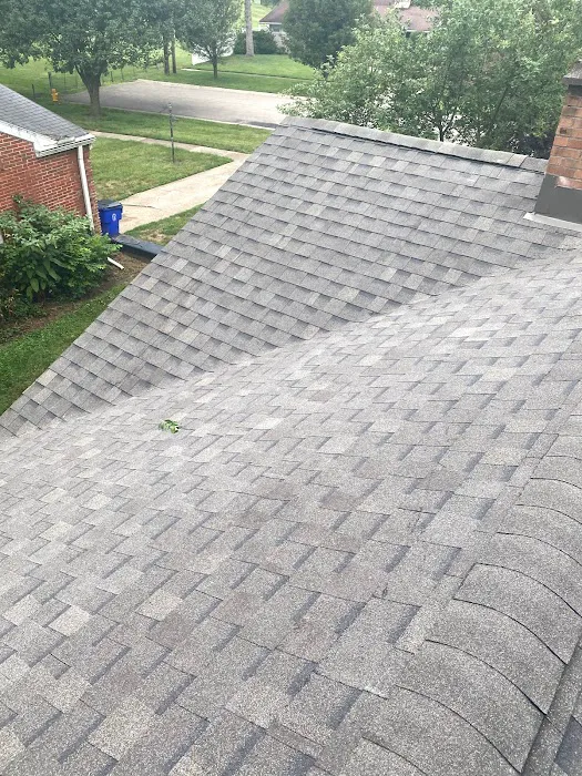 Centro America Roofing Picture 2