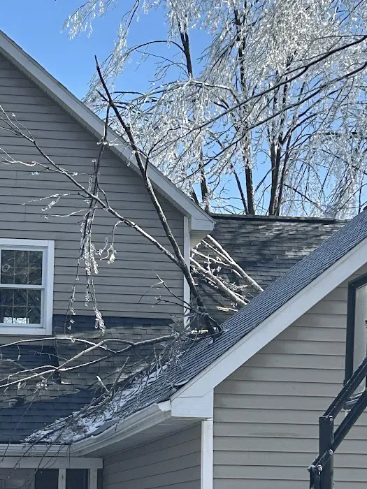 Dynasty Exteriors - Roofing Company Picture 4