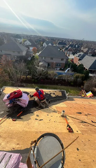 TopHat Roofers Picture 9