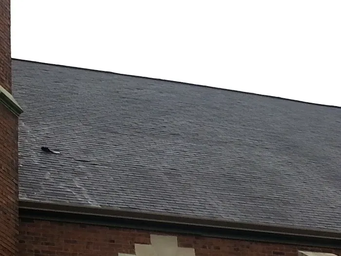 Jerry & Son Roofing Remodeling Picture 2