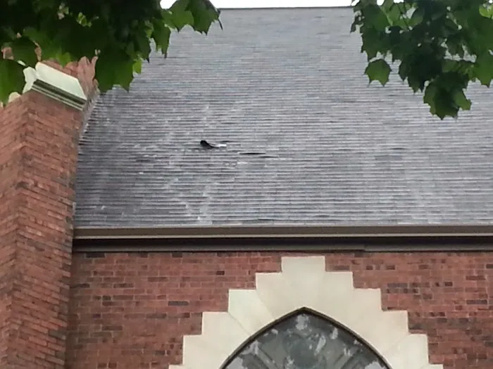 Jerry & Son Roofing Remodeling Picture 1