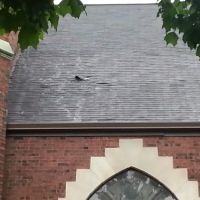 Jerry & Son Roofing Remodeling ico