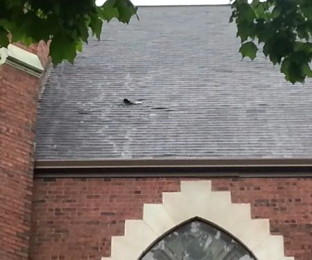 Jerry & Son Roofing Remodeling