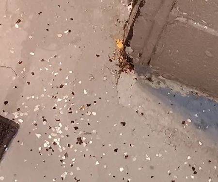 Harvey Roofing Products Inc