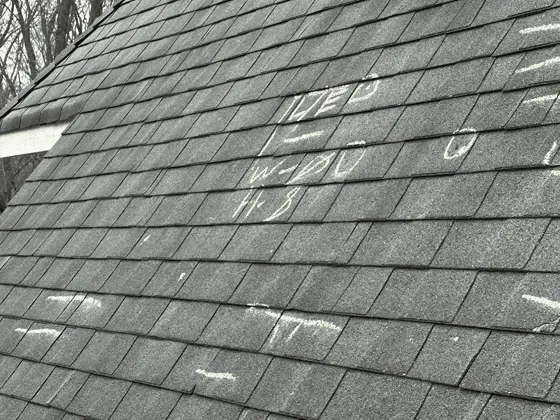 VP Exteriors Picture 2